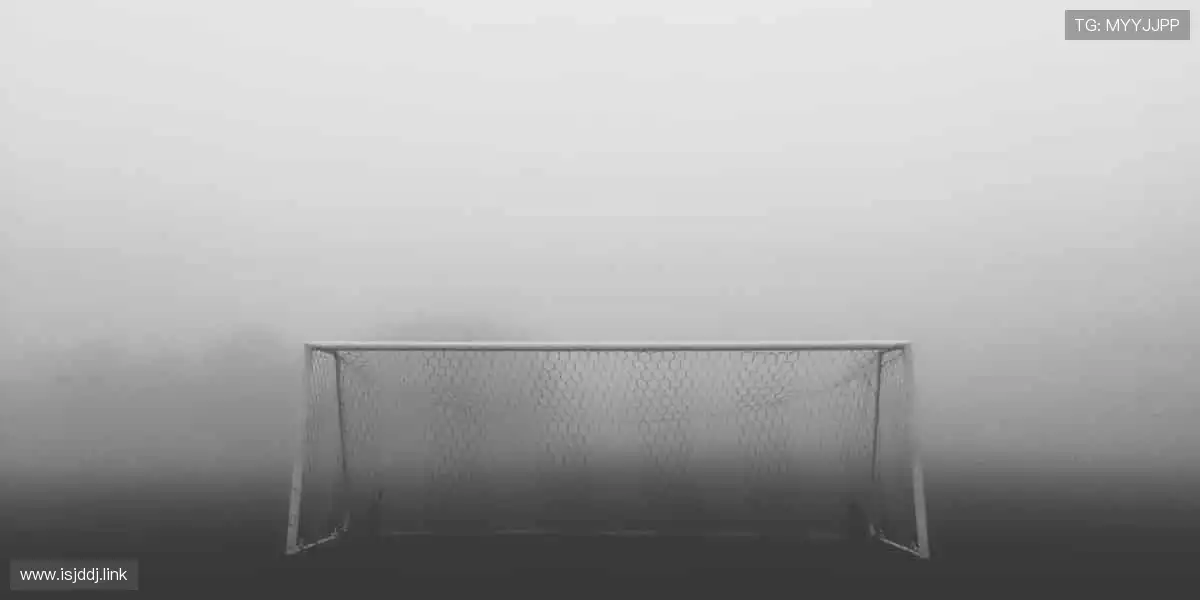 从训练场到直播间,你的热爱全程在线!📱